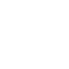 apple icon