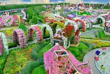 Dubai Miracle Garden4405