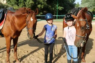 City Horse Riding Lessons2882