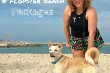 Flopster Beach for Dogs33143